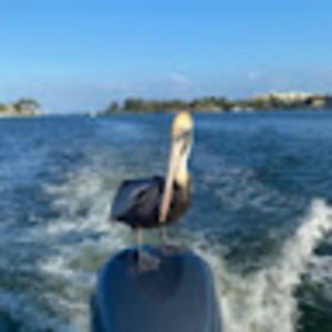 Meet your Posher, Nancy